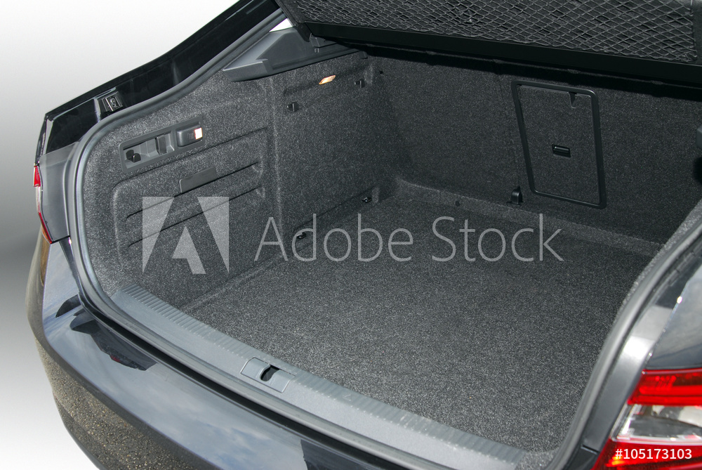 Compression Mold Auto Trunk